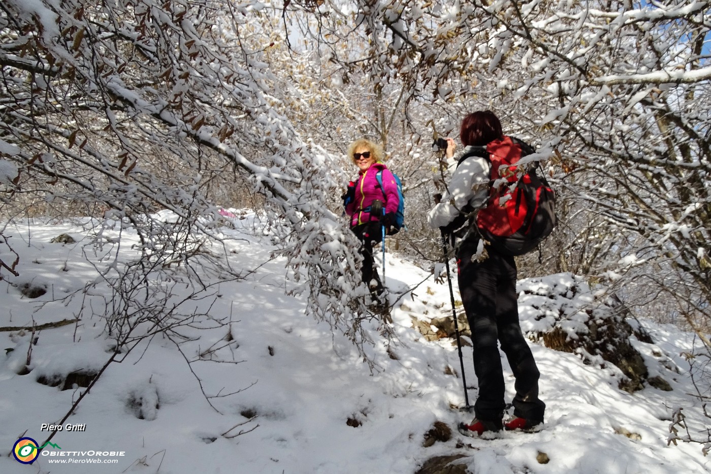 37 e il bosco si veste di bianco anche sulle piante !.JPG